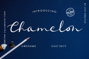 Chamelon: A Font That Elevates Your Brand