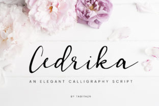 Font Choice That Speaks Volumes: How Cedrika Elevates Campaign Design