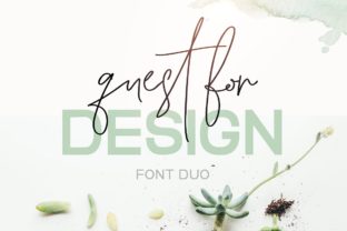 Quest for Design Family: A Font That Elevates Branding