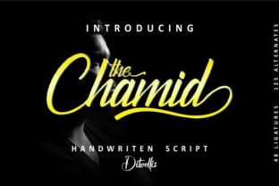 The Chamid: A Script Font for Editorial Elegance