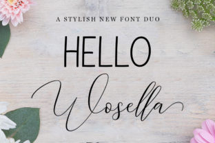 Wosella Duo: A Font for Bold Digital Expression